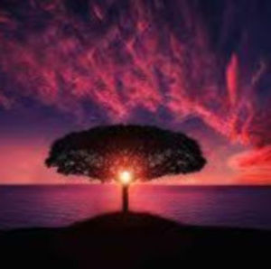 Meet your Posher, Autumn